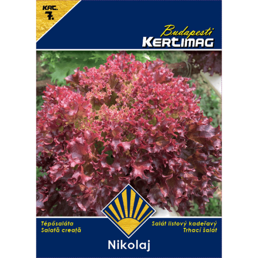TÉPŐSALÁTA KÜLÖNL.NIKOLAJ