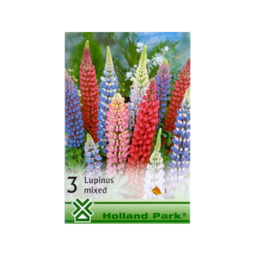 LUPINUS MIX CSILLAGFÜRT SZINKEVERÉK