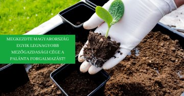 Megkezdtük a zöldség palánta forgalmazását. Krimzon Kft