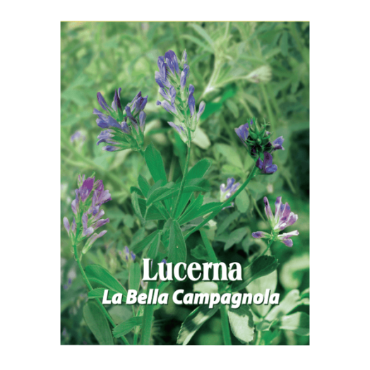 LUCERNA 500G