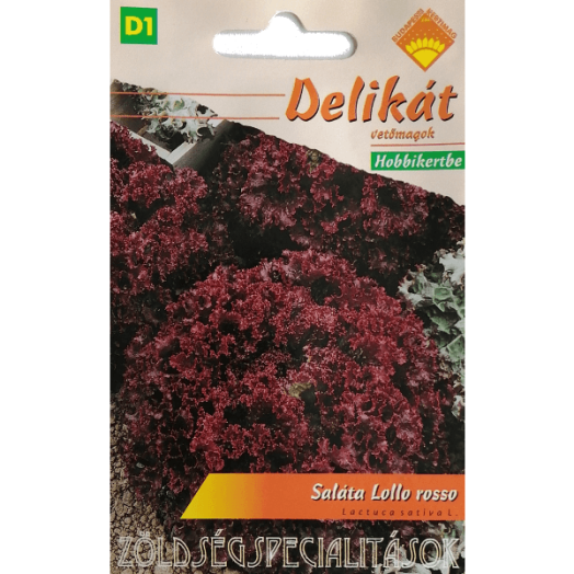 SALÁTA LOLLO ROSSO