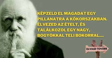 Az evolúciós elmélet szerint minden cselekedetünknek...