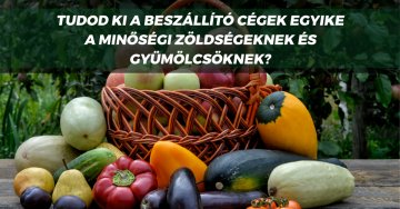 Amennyiben kiszámítható, megbízható és üzletileg stabil...