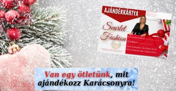 Szeretteidnek ajándékba egy ilyen különleges lehetőséget
