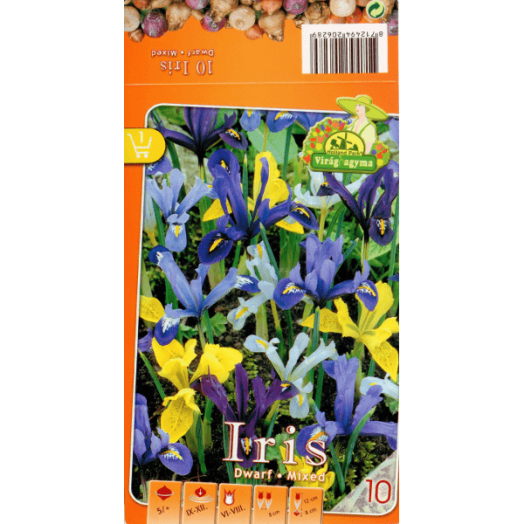 IRIS DWARF MIXED 5CM