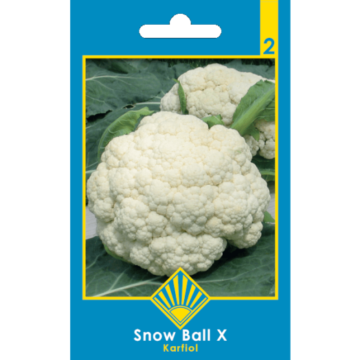 CLASSIC KARFIOL SNOW BALL X