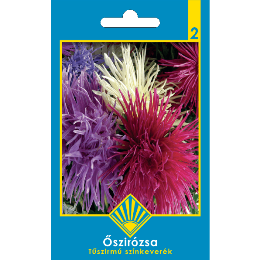 CLASSIC ŐSZIRÓZSA TŰSZIRMÚ SZÍNKEVERÉK