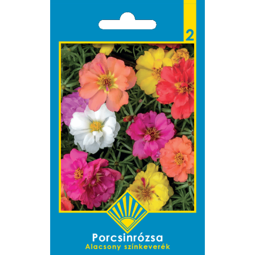 CLASSIC PORCSINRÓZSA ALACSONY SZÍNKEVERÉK