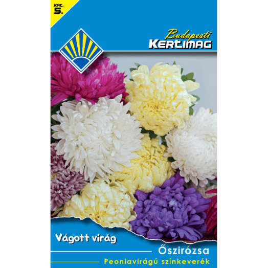 VÁGOTT VIRÁG ŐSZIRÓZSA PEONIAV SZK