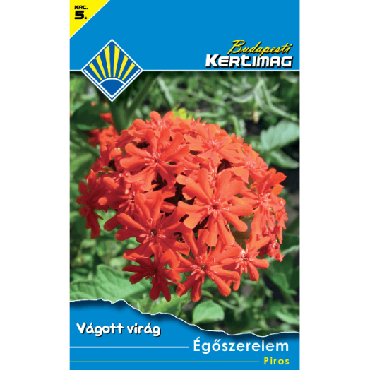 VÁGOTT VIRÁG ÉGŐSZERELEM PIROS