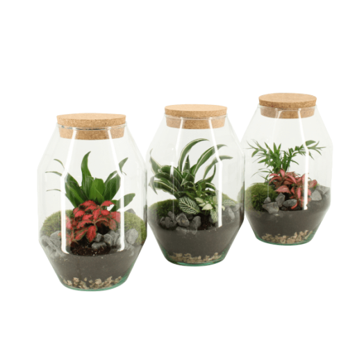 TERRÁRIUM ÖSSZEÁLLÍTÁS 17 CM 3.KAT.