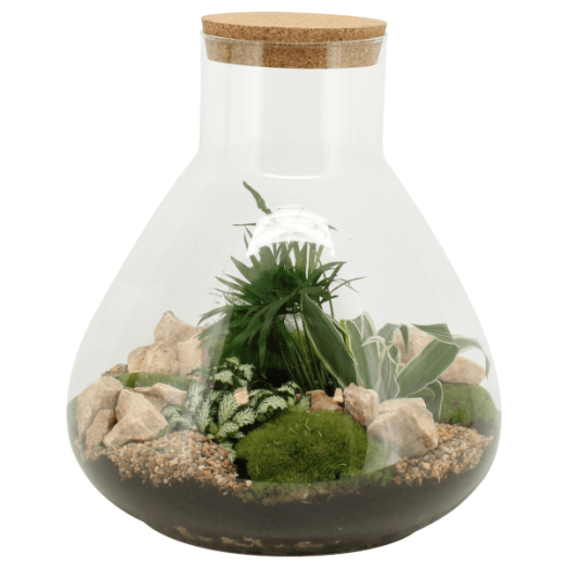 TERRÁRIUM ÖSSZEÁLLÍTÁS 30 CM 1.KAT