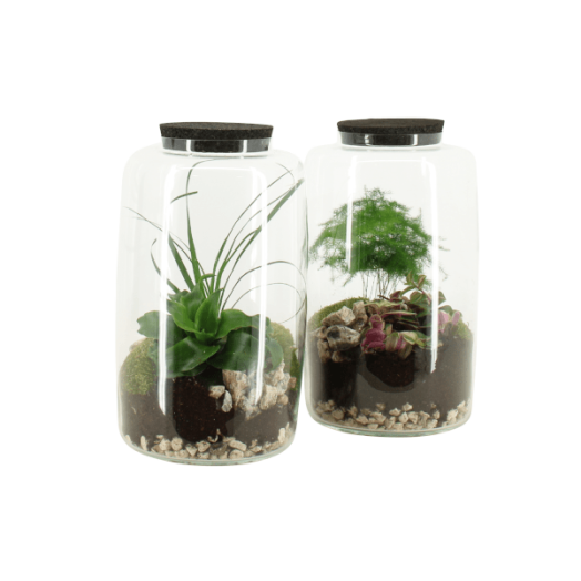 TERRÁRIUM ÖSSZEÁLLÍTÁS 17 CM 8. KAT.