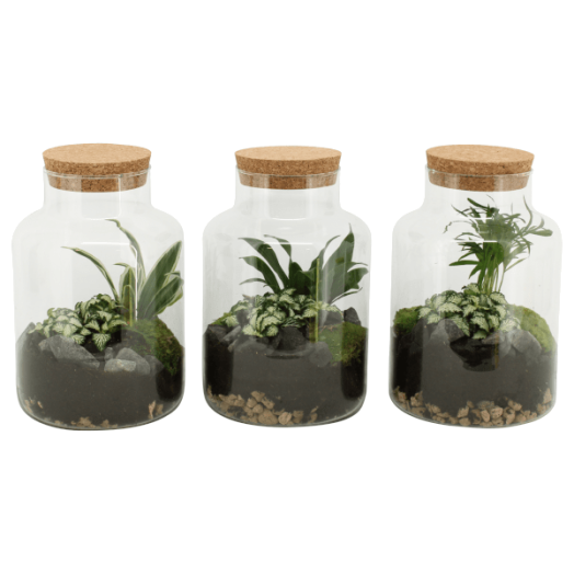 TERRÁRIUM ÖSSZEÁLLÍTÁS 17 CM 2.KAT.