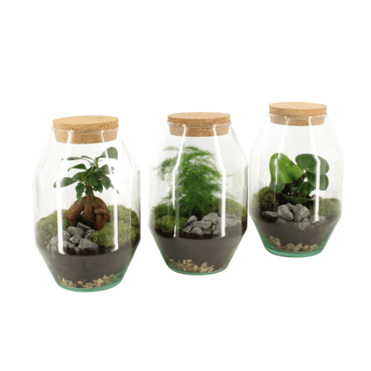 TERRÁRIUM ÖSSZEÁLLÍTÁS 17 CM 1.KAT