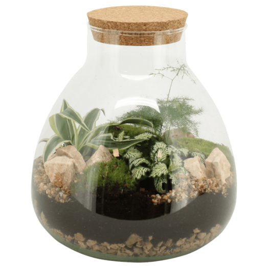 TERRARIUM ÖSSZEÁLLÍTÁS ÁTM.:23 CM, M:30