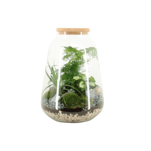 TERRÁRIUM ÖSSZEÁLLÍTÁS 26 CM
