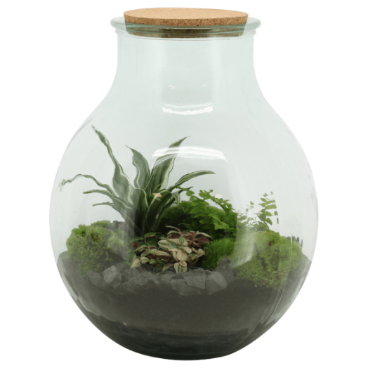 TERRÁRIUM ÖSSZEÁLLÍTÁS 30 CM 2.KAT