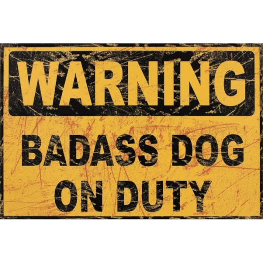 RETRO FÉMTÁBLA WARNING BADASS DOG 20X30CM