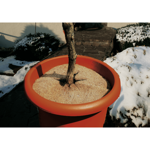 CLASSIC KÓKUSZROST SZELET VÉDŐTAKARÓ 2 RÉSZES 25CM