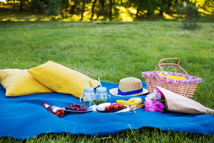 Bájos Summer Picnic kollekció a Praktikerben