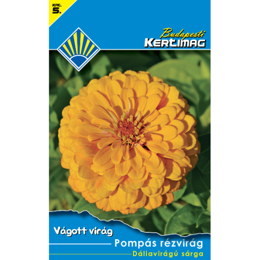 VÁGOTT VIRÁG POMPÁS RÉZVIRÁG DÁLIAV.SÁRG