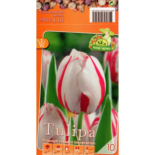 TULIPÁN (TULIPA TRIUMPH HAPPY GENERATION) 10,11CM