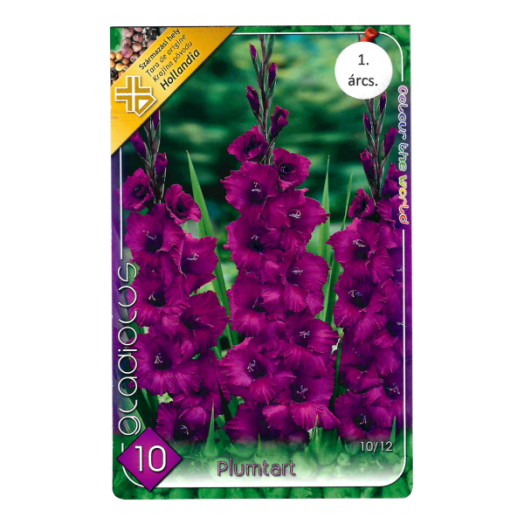 VIRÁGHAGYMA KARDVIRÁG PLUMTART 10DB/CSOMAG LILA