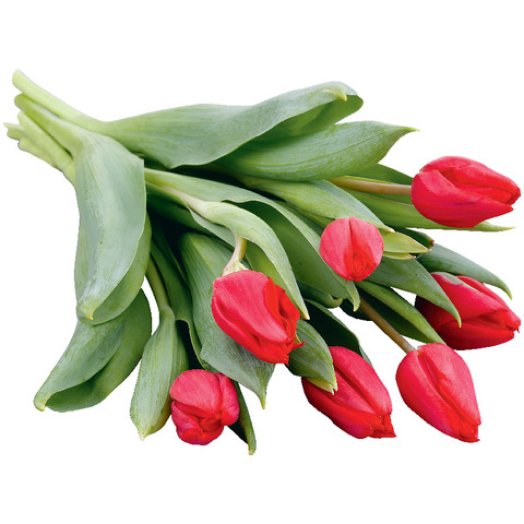 Tulipáncsokor
