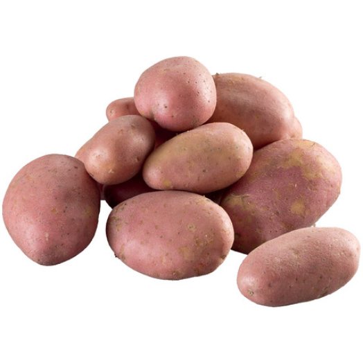 Magyar piros újburgonya