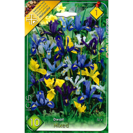 IRIS DWARF MIXED 5CM