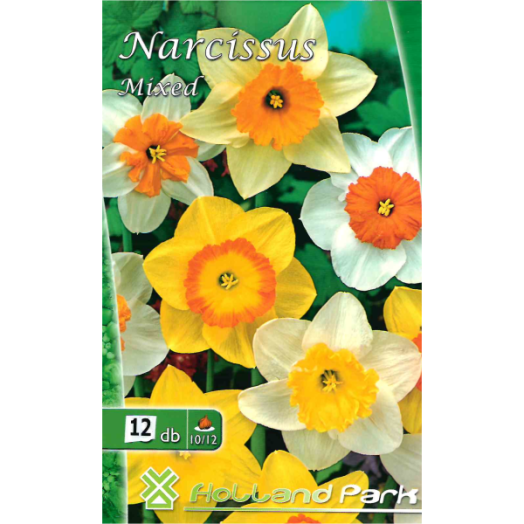 VIRÁGHAGYMA NÁRCISZ 12DB/CSOMAG SZÍNKEVERÉK PAPÍRTÁSKÁBAN