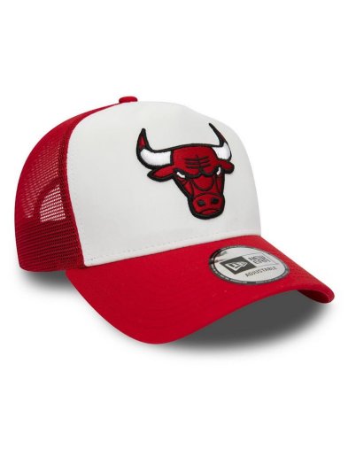 TEAM COLOUR BLOCK TRUCKER CHICAGO BULLS