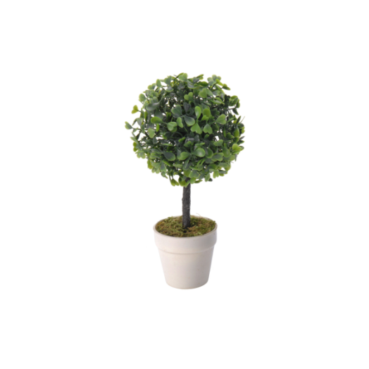 BUXUS KASPÓBAN 24X12X12CM KÉTFÉLE