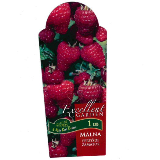 MÁLNA CS:2L ETIKETTEL RUBUS IDAEUS