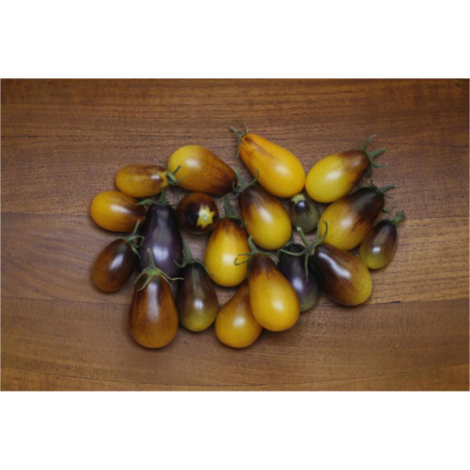 PALÁNTA PARADICSOM "PEAR DROPS" CS:12CM FOLYTONNÖVŐ SÁRGA KOKTÉL