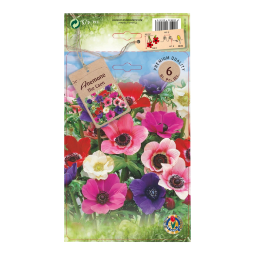 ŐSZI VIRÁGHAGYMA MIX