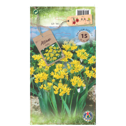 Aranysárga hagyma virághagyma 'Molly' 15db/csomag