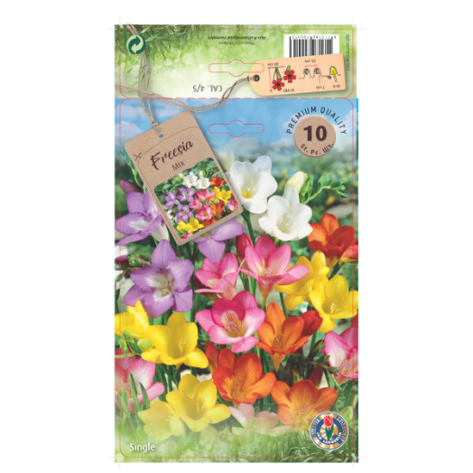 Frézia virághagyma mix 10db/csomag