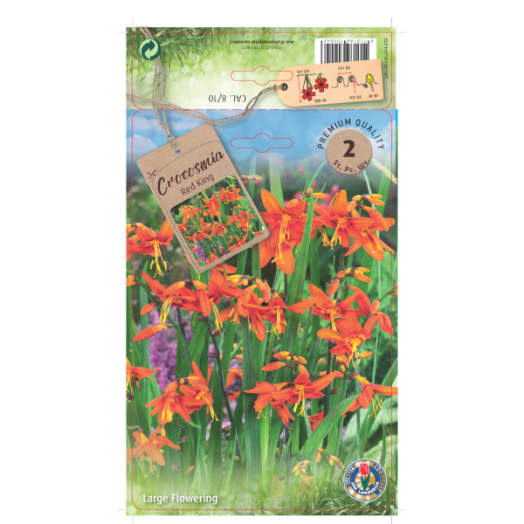 Sáfrányfű virághagyma 2db/csomag