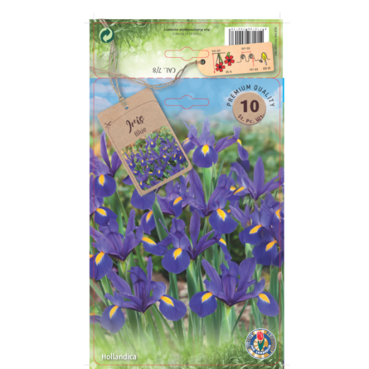 Holland nőszirom virághagyma 10db/csomag kék
