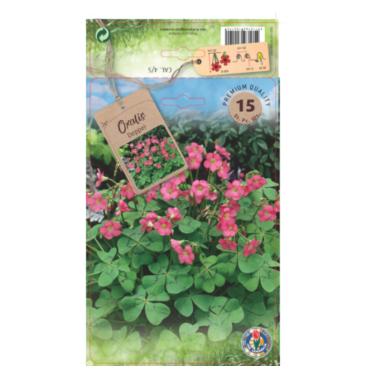 Négylevelű madársóska virághagyma 15db/csomag