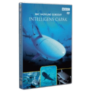 Vadvilág Sorozat - Intelligens cápák DVD