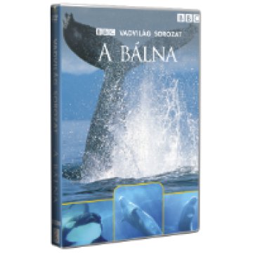 Vadvilág Sorozat - A Bálna DVD
