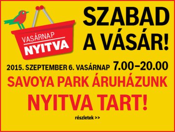 Szabad a vásár az Auchanban!