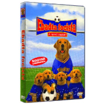 Ebadta focista DVD