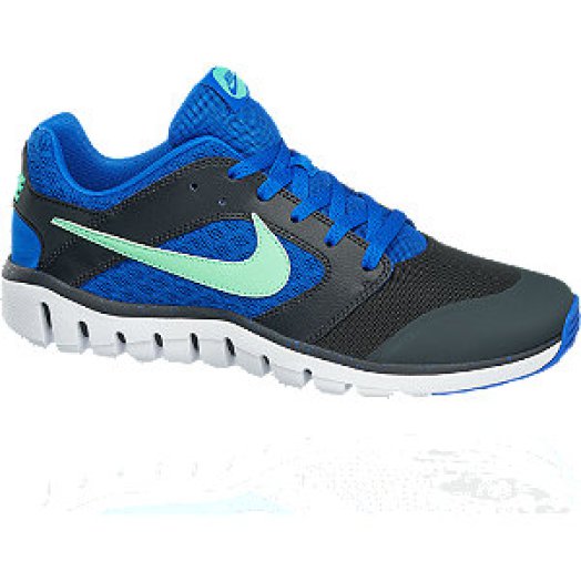 Nike FLEX RAID futócipő