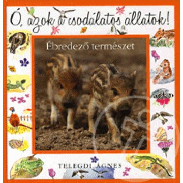 Ó, azok a csodálatos állatok!