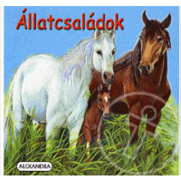 Állatcsaládok