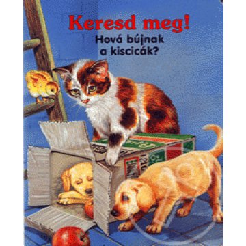 Hová bújnak a kiscicák?